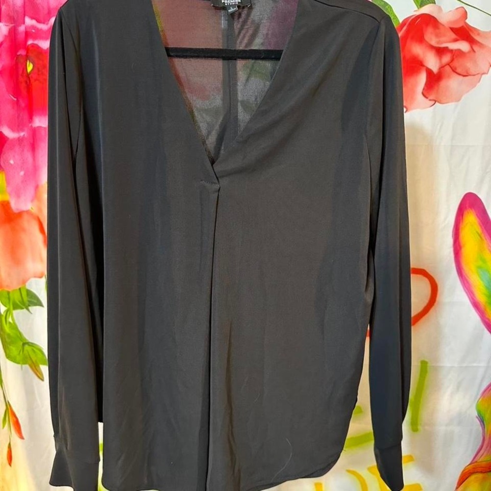 S272. Premise  Studio -Black semi sheer long sleeve top with V-neckline
